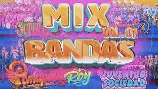 Mix Bandas Vol O1 DJRoy La Huaranchal, Pomapata, Armonia Anguy (Tik Tok)