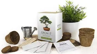 Unboxing - Grow Your Own Bonsai Trees