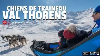#ValThorens - Chiens de traineau
