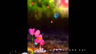 chỉ