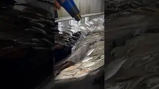 Интерьерные картины для Вашего дома 