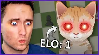 I Fought Mittens