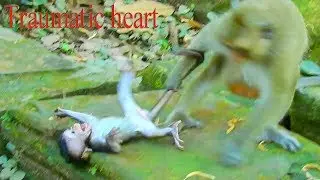 Million tear drop down ! can't stop my tear million pitiful Daniela trauma head with stone by DD
