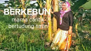 MAMA CANTIK BERTUDUNG SATIN LICIN ✨ berkebun 💝