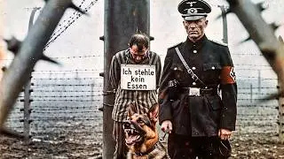 This Is What a Day Was Like in the Worst Nazi Concentration Camp | Auschwitz-Birkenau