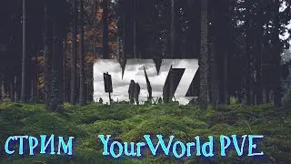 Стрим Dayz YourWorld  Лутаем города