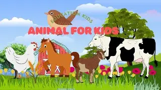 Animated Animal names Kids and sound animal farm