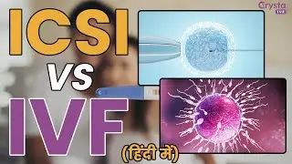 ICSI VS IVF in Hindi | ICSI और IVF कब और कैसे किया जाता है? Is IVF better than ICSI? Crysta IVF