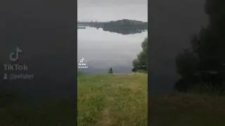 Петя бультерьер 