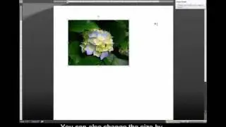 MSWordPictures.mp4