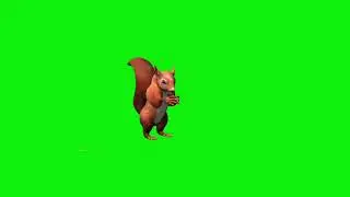 green screen video animal squirrel No copyright ||CARTOON KIDS ||