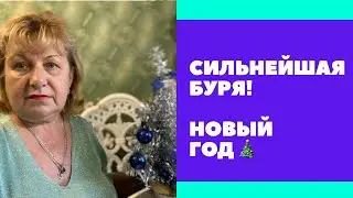 СИЛЬНЕЙШАЯ МАГНИТНАЯ БУРЯ !!! А НОВЫЙ ГОД ?