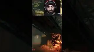 دلم برای زامبیه سوخت 😂 #callofduty
