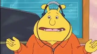 When you hear Animal Collective for the first time