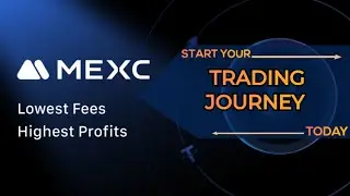 THE BEST DEMO ACCOUNT FOR BEGINNERS [2024]