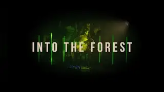 Becky Langan - Into the Forest (Official video)