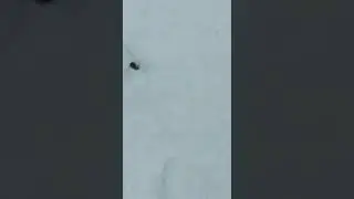 2 ноября 2022 г.