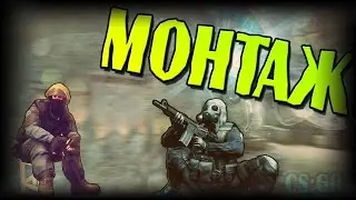 CS:GO | Птичий кокон