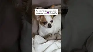Повтори еще раз, я не расслышала 😂 #lepnina
