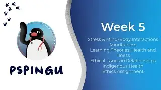 Sem 1 Week 5 Content + Ethics Assignment