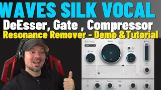 Waves Silk Vocal Tutorial | Remove Resonance| Compress | DeEss | Noise Gate and more!
