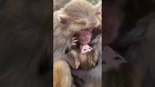 Мамин поцелуй #ЛАРАзвезДА
