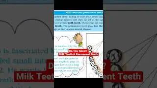 What is milk teeth | What is Permanent teeth 