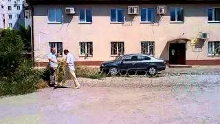 Растягиваем егозу Казачка
