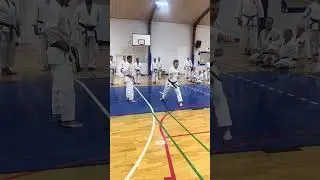 Yamaguchi-Sensei going through kata Junro shodan