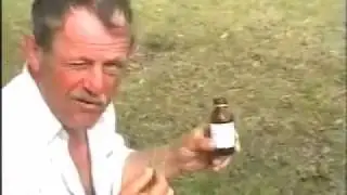 ПохмельЕ ФанфуриК  ДеревнЯ