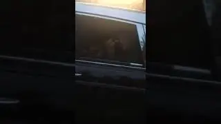 Усик остановился возле земляков в Москве после боя с Гасиевым .