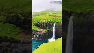 Nature Sounds Short |Amazon 4K | Relaxing nature sounds | Night sounds nature qgib