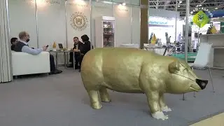УЧАСТНИКИ 