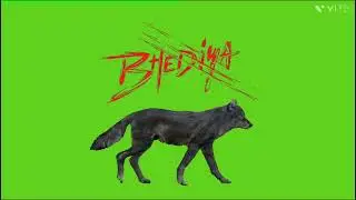 bhediya green screen 🐺#greenscreen #bhediya #movie #varundhawan #sujit #effect