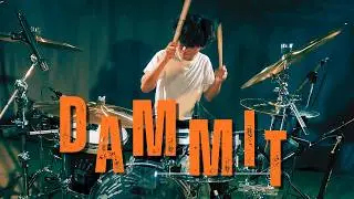 Ray Lally - Dammit | Blink 182