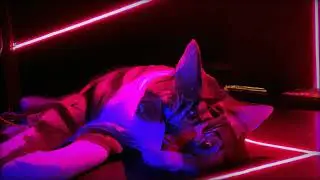 Synthwave Mix 34 | Background Music For Relax, Chill Synth, Retrowave, Gaming and Driving Music