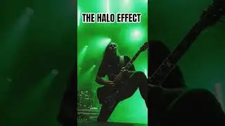 The Halo Effect 