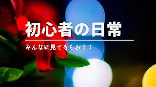 【OM SYSTEM OM-5】初心者なりに頑張って撮影した写真を見てもらう動画①