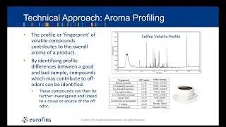 GC MS Techniques for Troubleshooting Off Flavor, Off Odor, and Flavor Scalping in Foods, Beverages