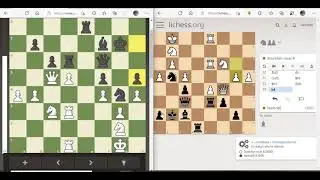 Bot Lichess (nivel 8 max, blancas) Vs Bot chess.com (elo 2700, negras)