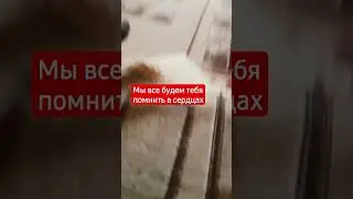 21 июня 2023 г.