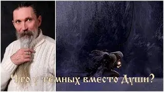 Трехлебов А.В. Что у тёмных вместо Души?