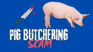 [453] What is a Pig Butchering Scam?