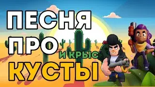 ПЕСНЯ ПРО КУСТЫ И КРЫС В БРАВЛ СТАРС BRAWL STARS