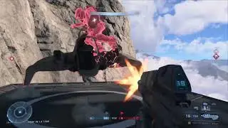 Halo Infinite : Enemy flag interception with enemy wasp