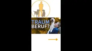 Dog trainer – everyone’s dream job?!