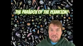 The Paradox of the Plankton!