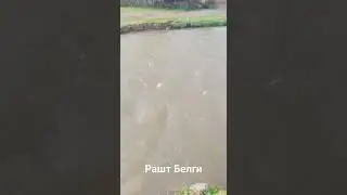 Н. Рашт Дехаи Белги