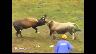 AĞBAŞ - ALACA / 1998 KAFKASÖR
