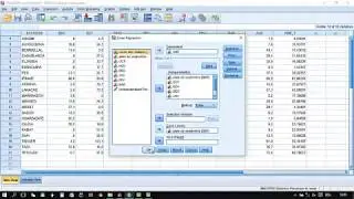 SPSS - Multivariate statistic